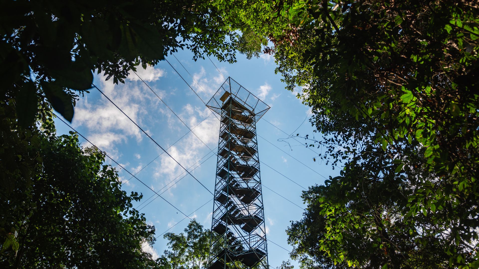 Canopy Tower by Hassen Salum